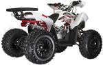 Coleman Powersports AT125Y Youth Gas ATV