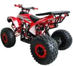 Vitacci 125cc Fully Automatic Youth ATV - Red
