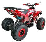 Vitacci 125cc Fully Automatic Youth ATV - Red