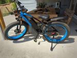 Lankeleisi MG740 Plus Dual Motor Electric Bike