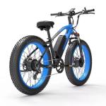 Lankeleisi MG740 Plus Dual Motor Electric Bike