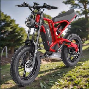 Hidoes B6 20" Fat Tire Electric Mountain Bike
