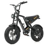 Hidoes B6 Mini 16" Fat Tire Electric Bike