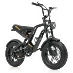 Hidoes B6 Mini 16" Fat Tire Electric Bike