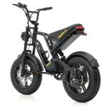 Hidoes B6 Mini 16" Fat Tire Electric Bike
