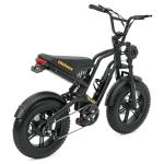Hidoes B6 Mini 16" Fat Tire Electric Bike