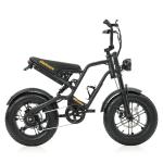 Hidoes B6 Mini 16" Fat Tire Electric Bike