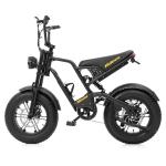 Hidoes B6 Mini 16" Fat Tire Electric Bike