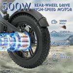 Hidoes B6 Mini 16" Fat Tire Electric Bike