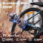 VARUN 26" Electric Mountain Bike with 48V Battery