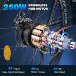 Fafrees 26" 250W Electric Mountain Bike for Adults