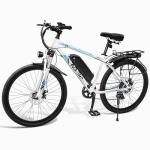 NO. 32 Electric Mountain Bike with 250W Motor