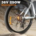 NO. 32 Electric Mountain Bike with 250W Motor