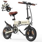 ESKUTE F200 Mini Folding Electric Bike