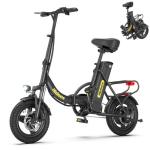 Hidoes C5 Folding Electric Bike with Removable Battery