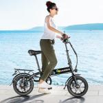 SAMEBIKE YINYU14 Folding Electric Bike with 60KM Range
