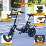 Hidoes C5 Folding Electric Bike with Removable Battery