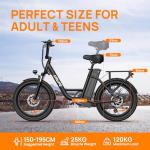 URLIFE E20 Fat Tire Electric Bike for Adults