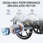 HITWAY BK2 Folding Electric Bike with LCD Display