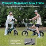 HITWAY BK2 Folding Electric Bike with LCD Display