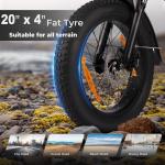 Shimano 20" Folding Electric Bike 250W Fat Tire