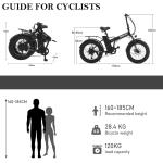 Shimano 20" Folding Electric Bike 250W Fat Tire