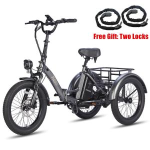 Fafrees F20 Mate 20'' Electric Fat Tire Trike