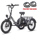 Fafrees F20 Mate 20'' Electric Fat Tire Trike