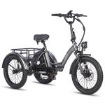 Fafrees F20 Mate 20'' Electric Fat Tire Trike