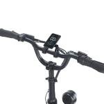 Fafrees F20 Mate 20'' Electric Fat Tire Trike