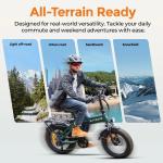 ENGWE EP-2 3.0 BOOST Folding Electric Bike 250W