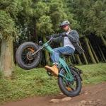 ENGWE EP-2 3.0 BOOST Folding Electric Bike 250W