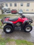 Honda TRX350 Fourtrax/Rancher ES 2005 Utility Quad
