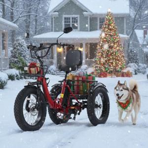 48V Electric Folding Tricycle with Fat Tires