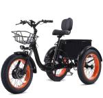 KAKIGO Folding Electric Trike for Adults, 90KM Range
