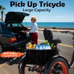 KAKIGO Folding Electric Trike for Adults, 90KM Range