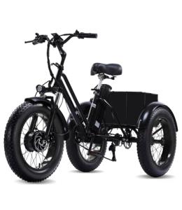 NOMIGO 2025 Electric Trike for Adults with Fat Tires