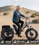 NOMIGO 2025 Electric Trike for Adults with Fat Tires
