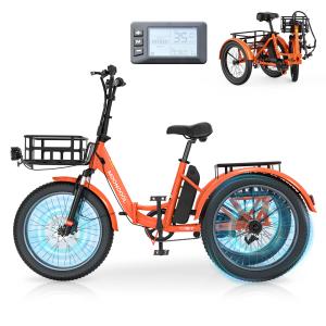 20" Fat Tire Electric Tricycle with LCD Display