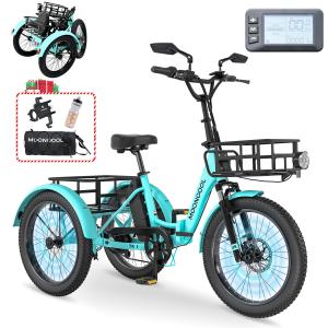 MOONCOOL 20" Folding Electric Tricycle for Adults