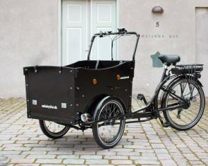AMCargoBikes Deluxe Electric Tadpole Cargo Tricycle