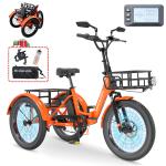 Mooncool 20x3 Fat Tire Folding Electric Trike