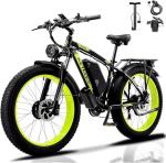 JESRIDER 250W Dual Motor Electric Mountain Bike