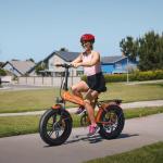 ENGWE EP-2 BOOST Folding Electric Fat Bike