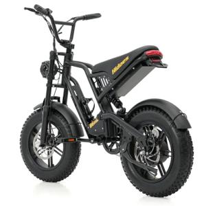 Fat Tire Electric Bike with 250W Motor, 30-60KM