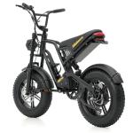 Fat Tire Electric Bike with 250W Motor, 30-60KM