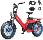 TESWAY X7AWD Dual Motor Long Range Electric Bike