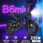 Fat Tire Electric Bike with 250W Motor, 30-60KM