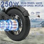 Fat Tire Electric Bike with 250W Motor, 30-60KM