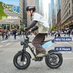 Fat Tire Electric Bike with 250W Motor, 30-60KM